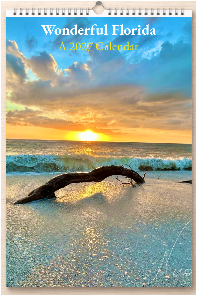 Wonderful Florida: A 2027 Calendar
