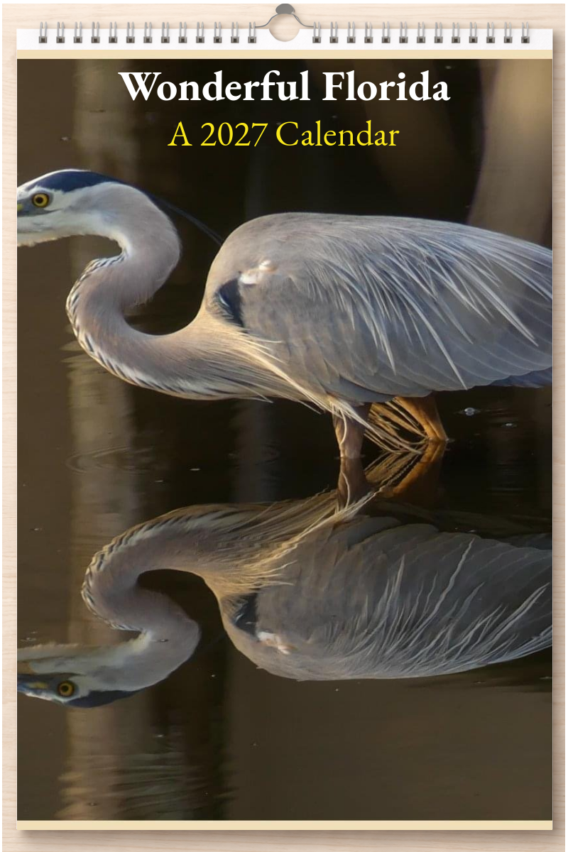 Wonderful Florida: A 2027 Calendar
