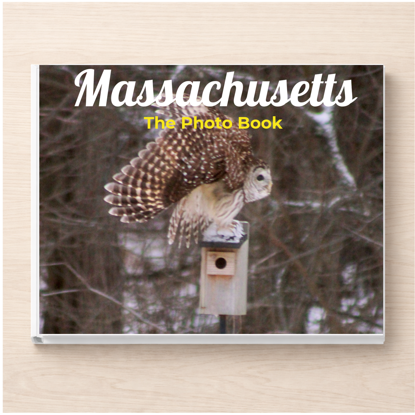 Massachusetts: The Photo Book