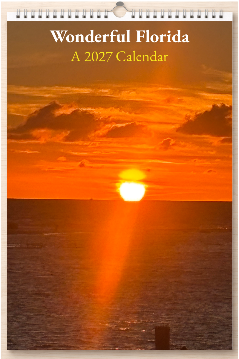 Wonderful Florida: A 2027 Calendar