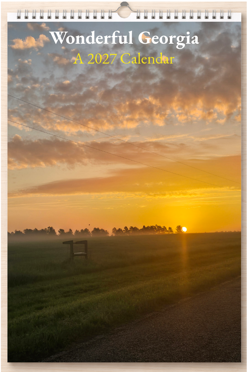Wonderful Georgia: A 2027 Calendar