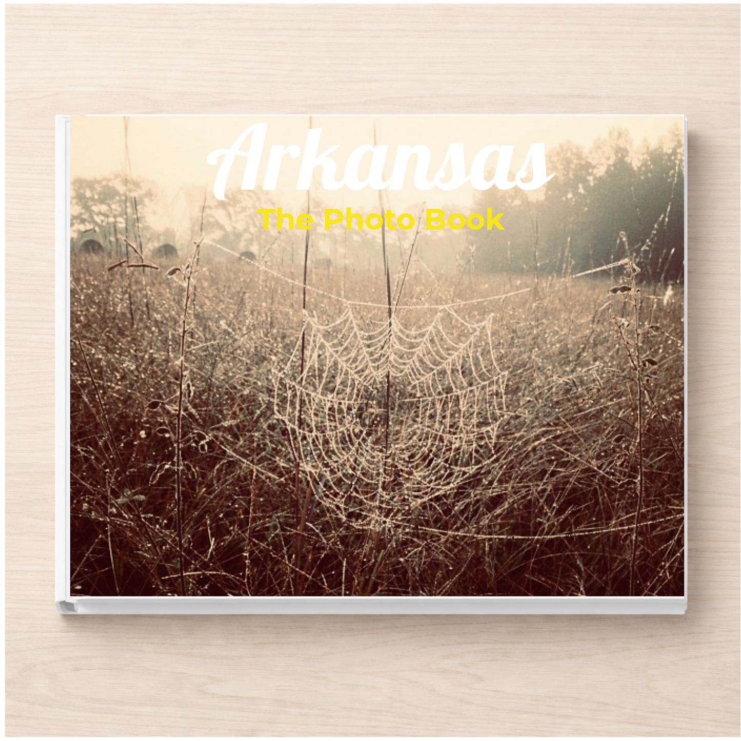 Arkansas: The Photo Book