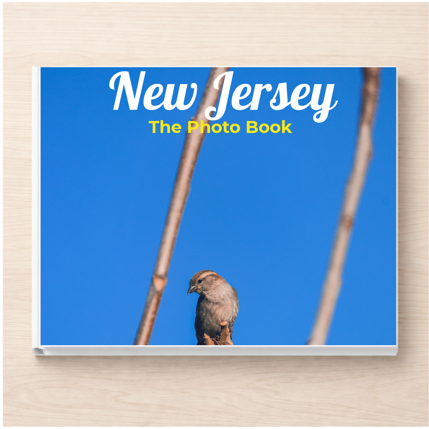 New Jersey: The Photo Book