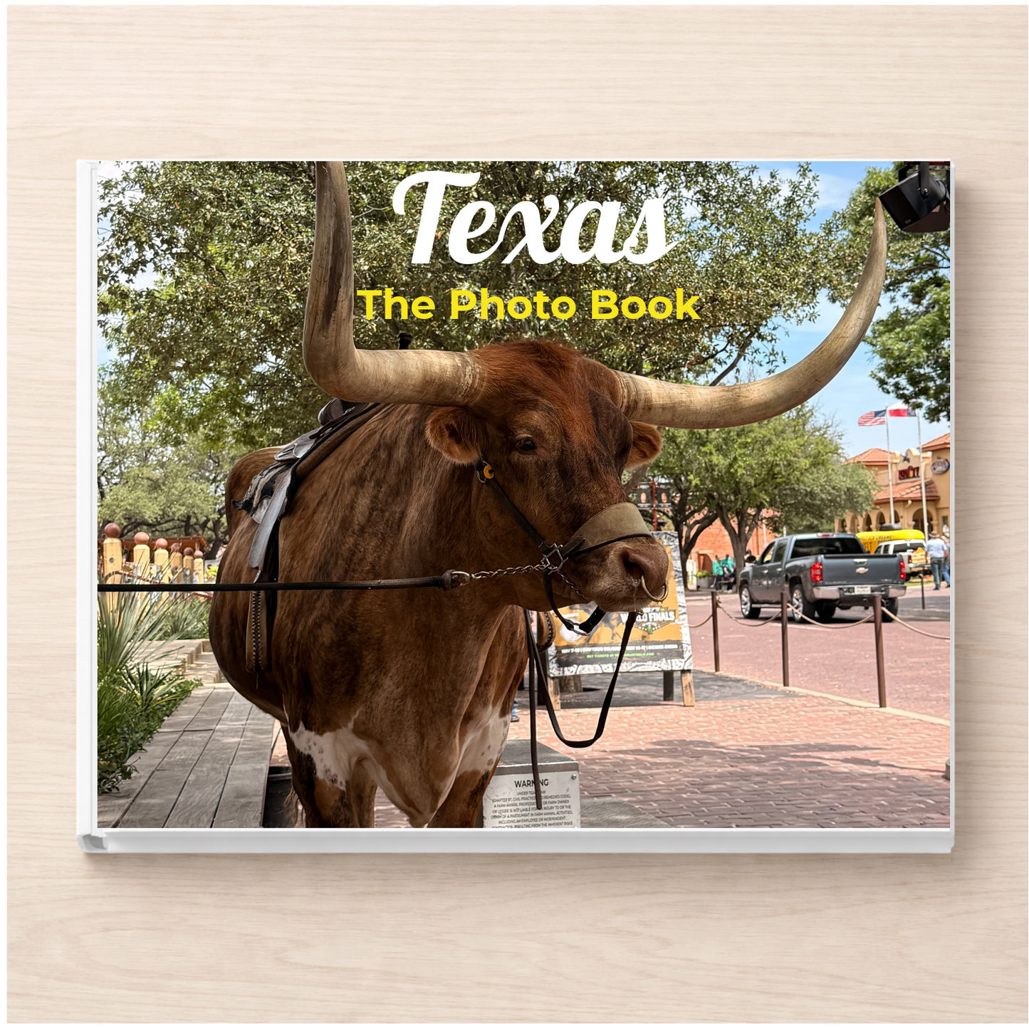 Texas: The Photo Book