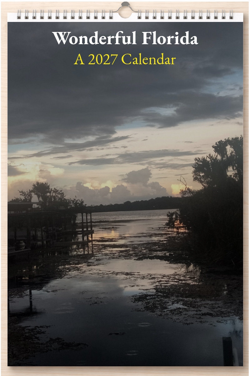 Wonderful Florida: A 2027 Calendar