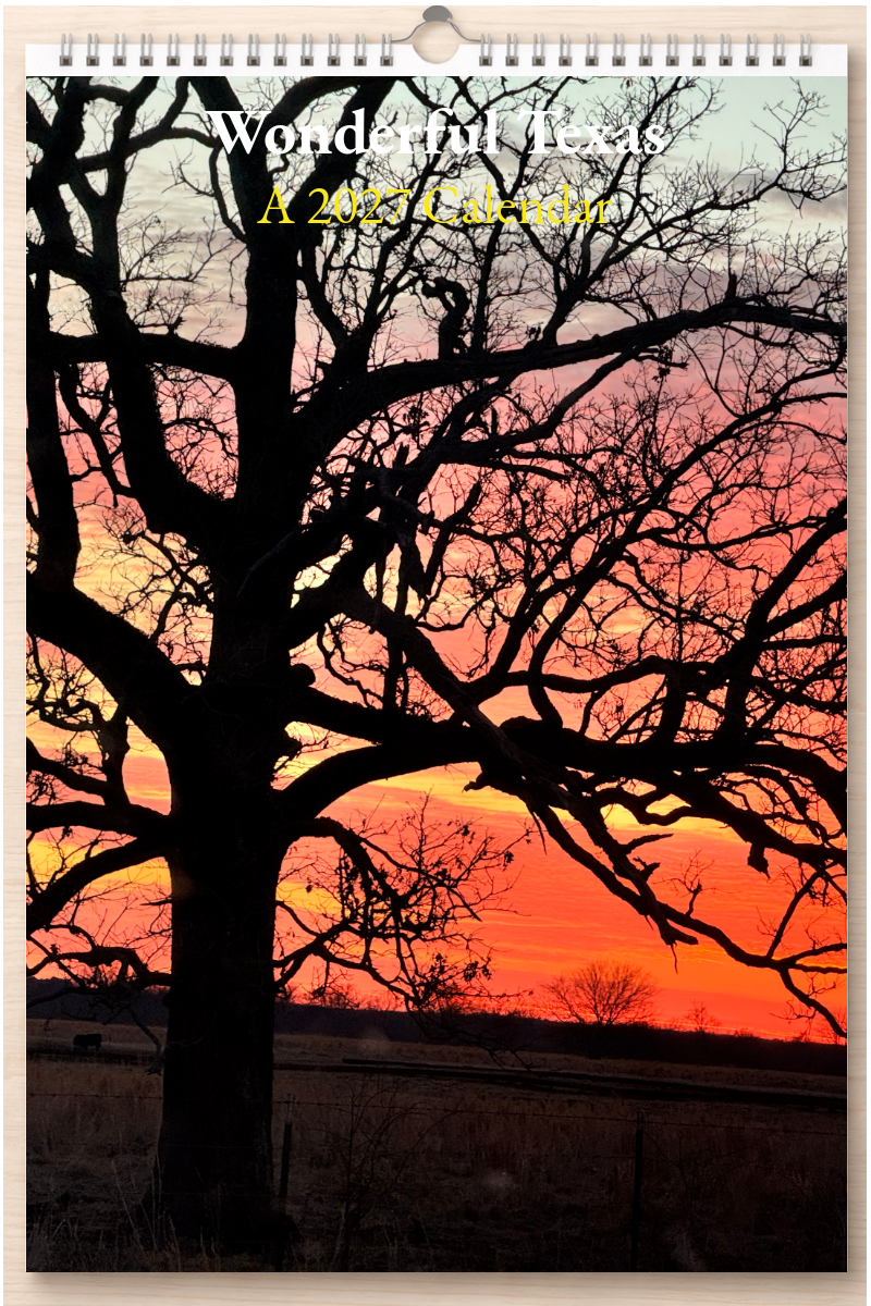 Wonderful Texas: A 2027 Calendar