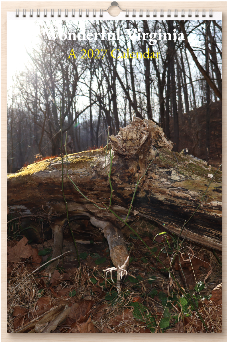Wonderful Virginia: A 2027 Calendar