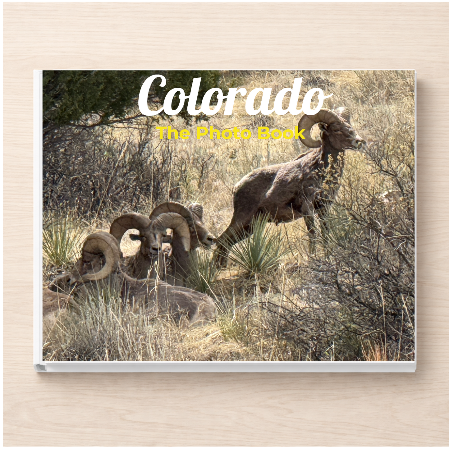 Colorado: The Photo Book