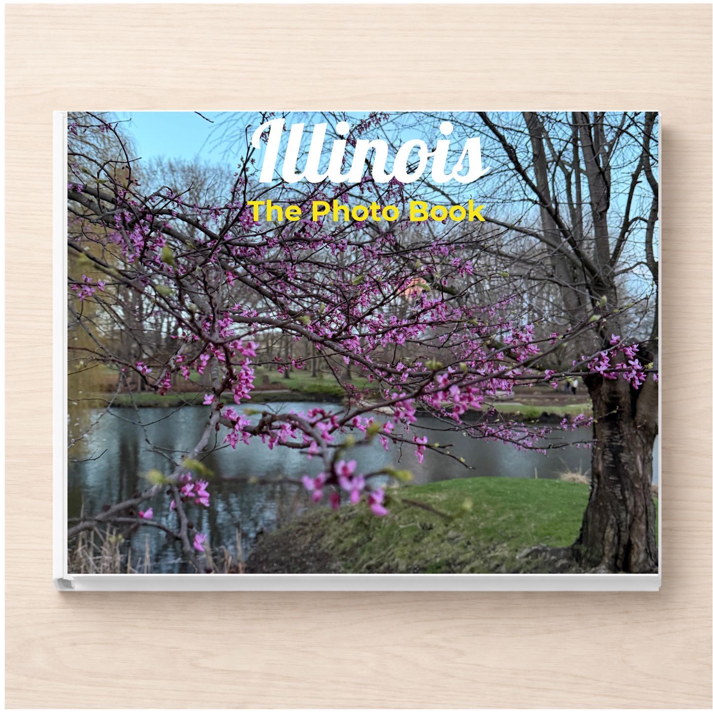 Illinois: The Photo Book