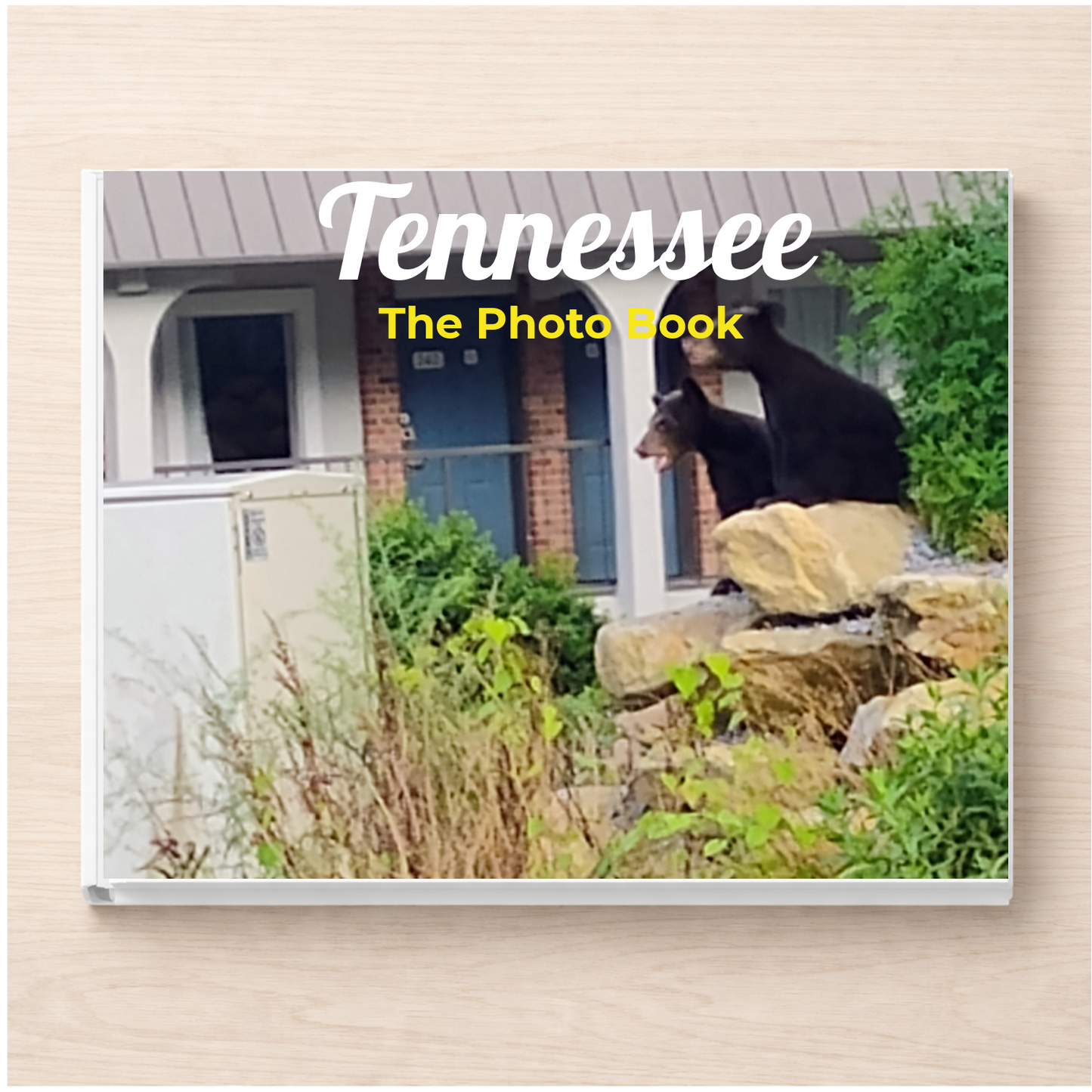 Tennessee: The Photo Book