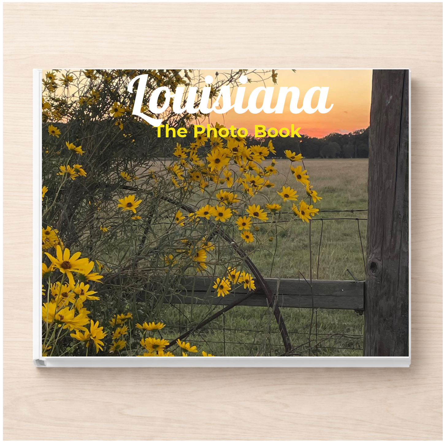 Louisiana: The Photo Book