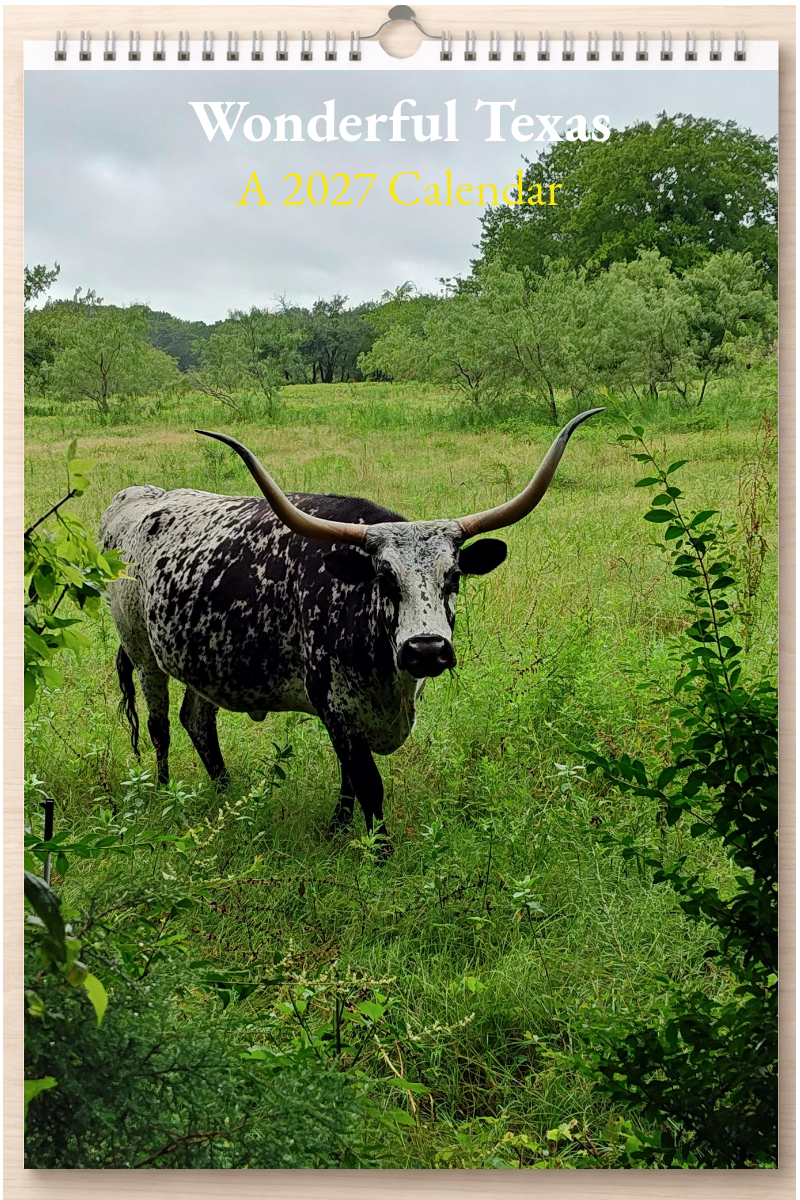 Wonderful Texas: A 2027 Calendar