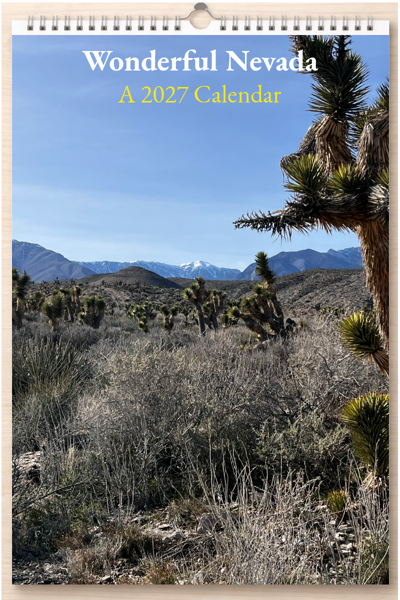 Wonderful Nevada: A 2027 Calendar