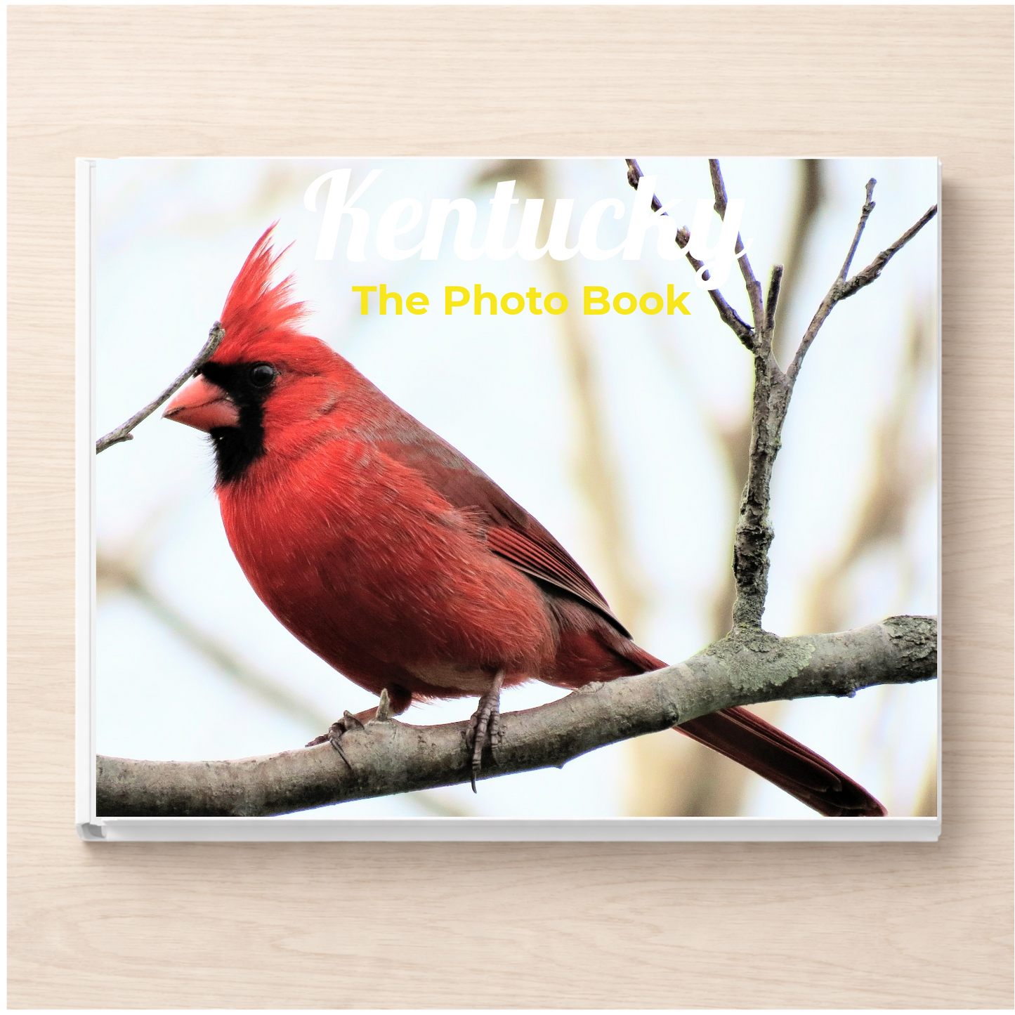 Kentucky: The Photo Book