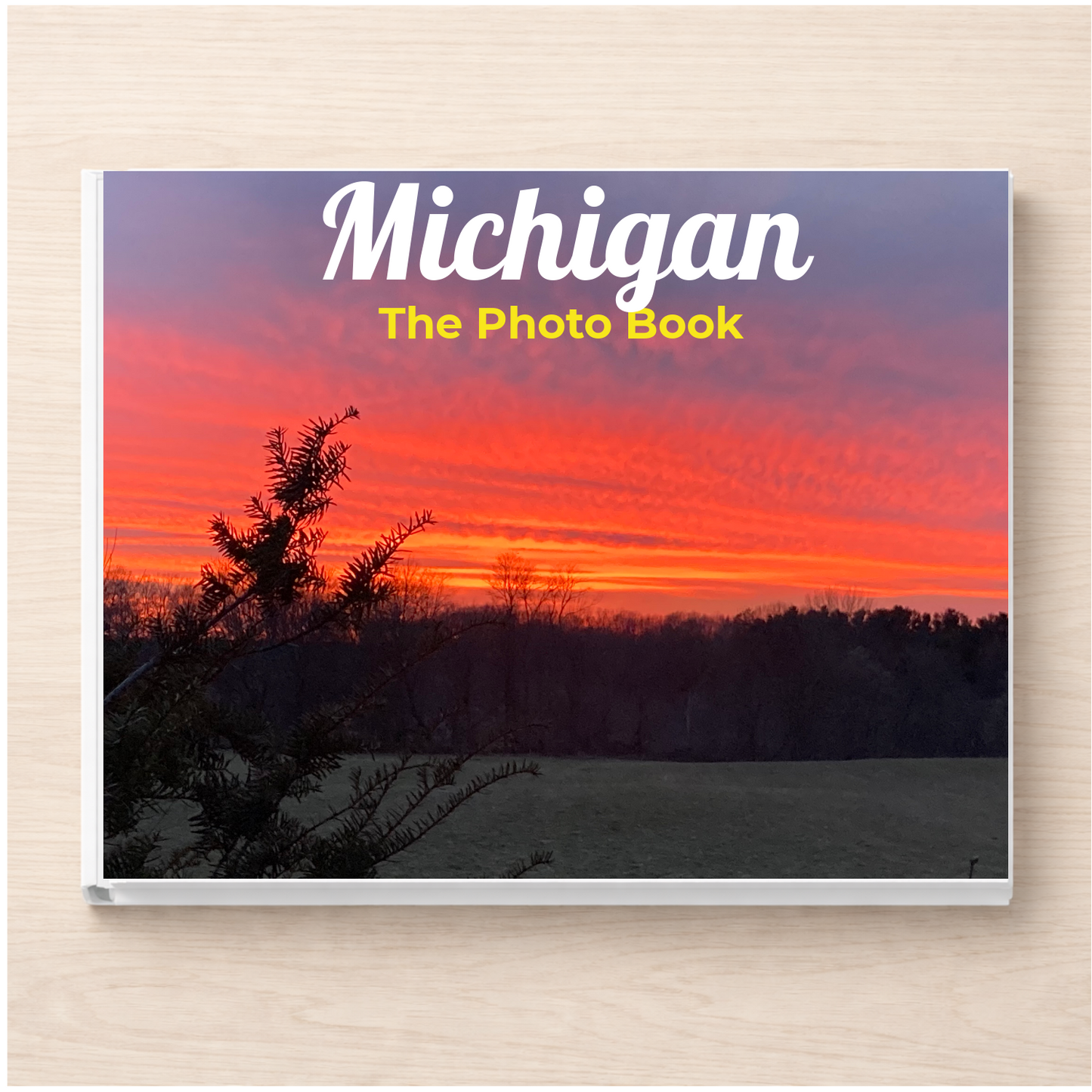 Michigan: The Photo Book
