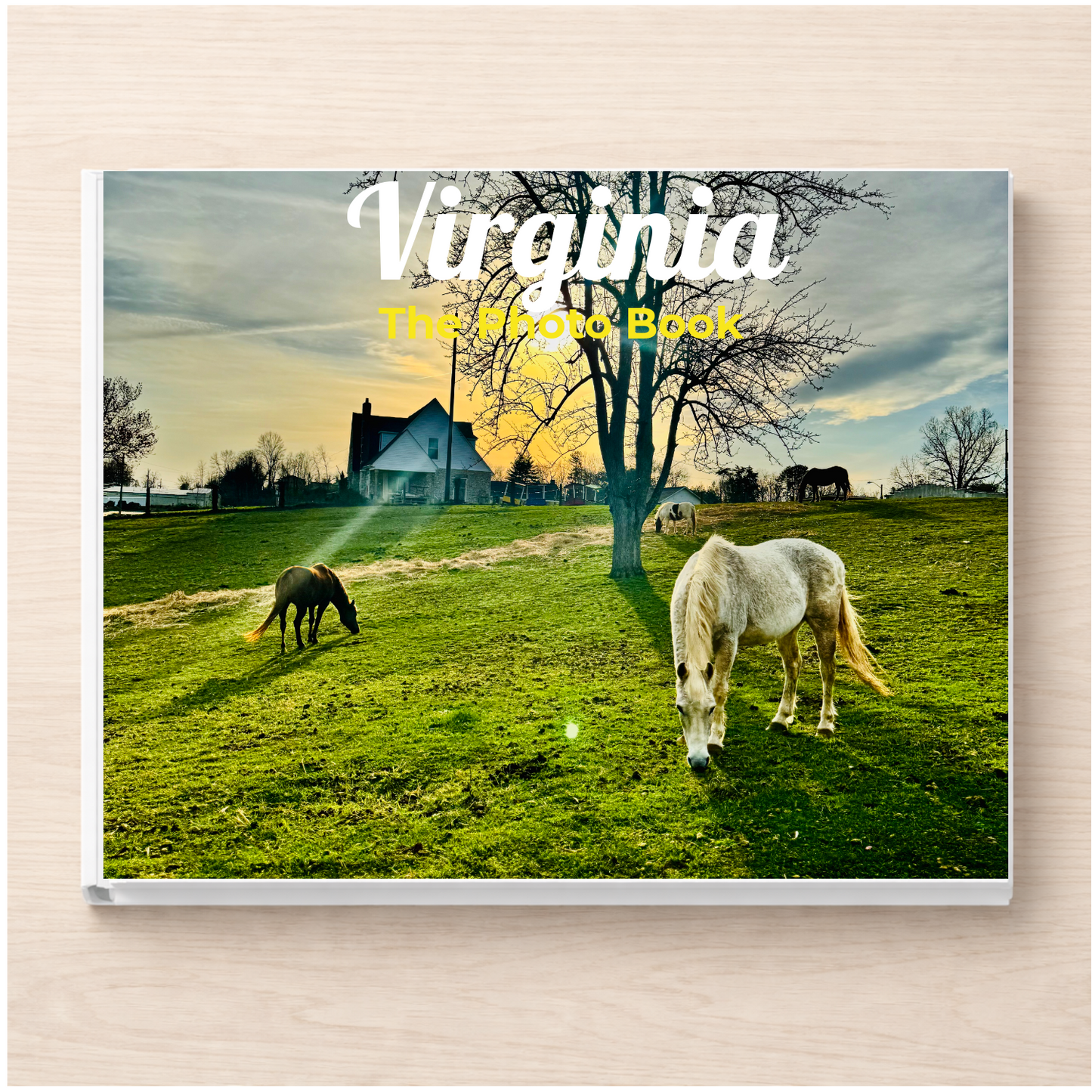 Virginia: The Photo Book