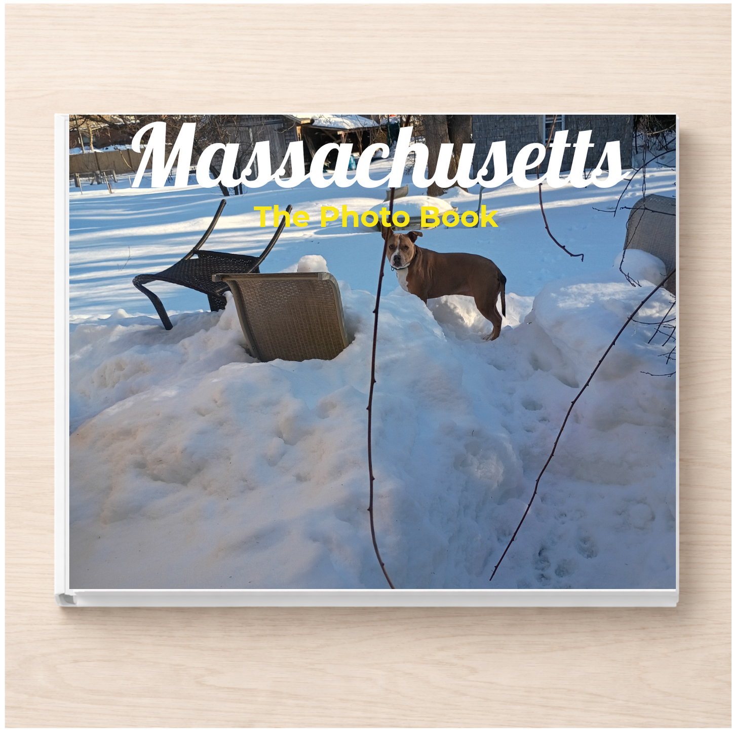 Massachusetts: The Photo Book