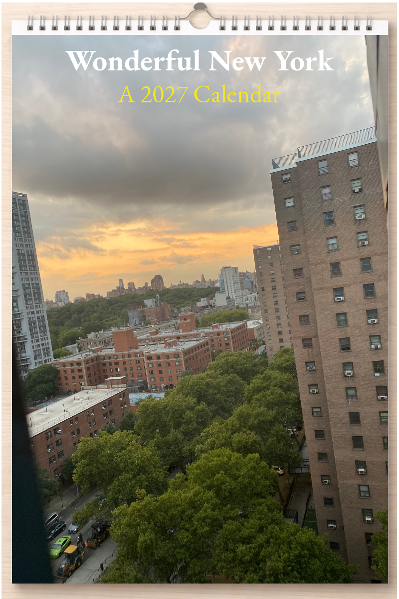 Wonderful New York: A 2027 Calendar
