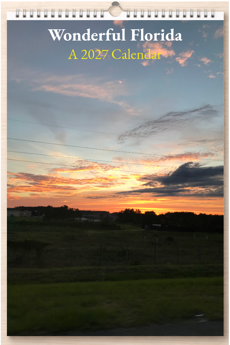 Wonderful Florida: A 2027 Calendar