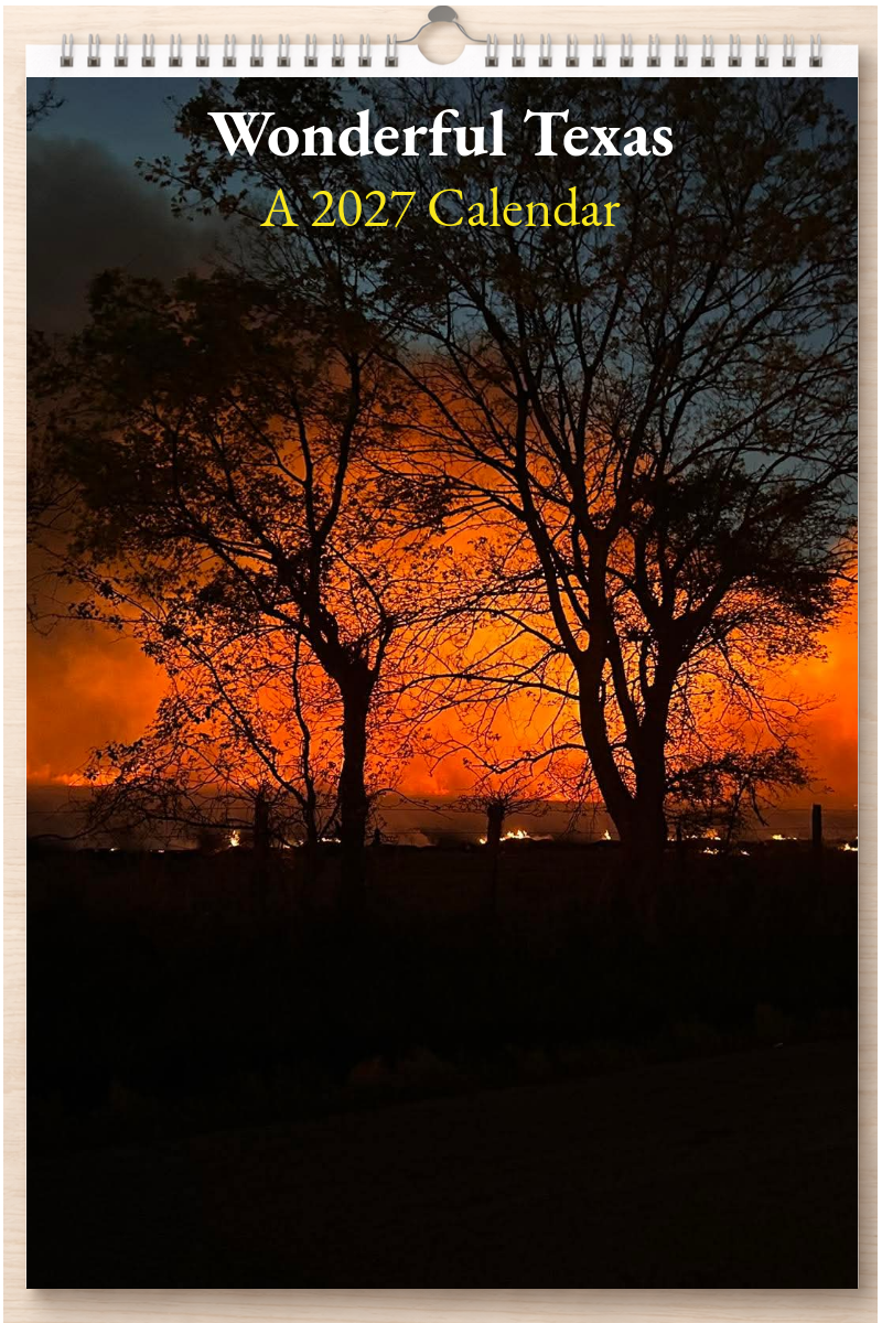 Wonderful Texas: A 2027 Calendar