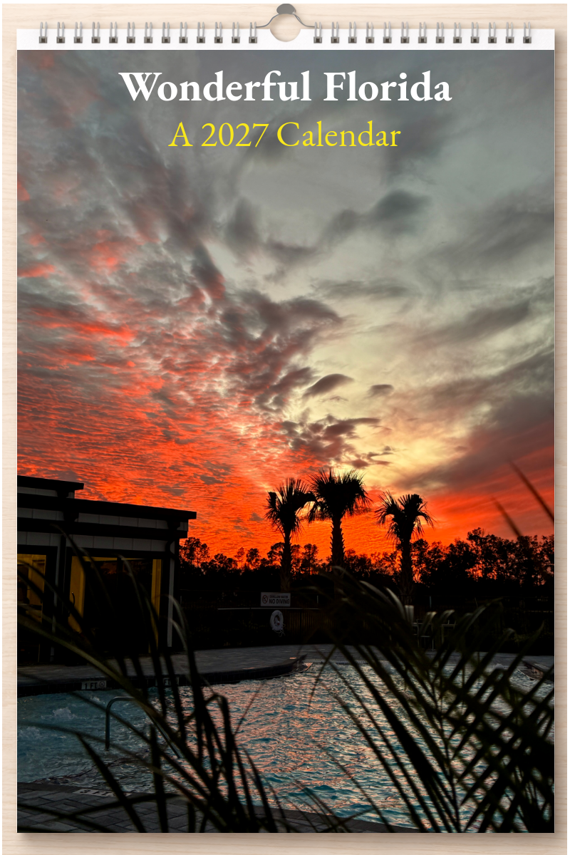 Wonderful Florida: A 2027 Calendar