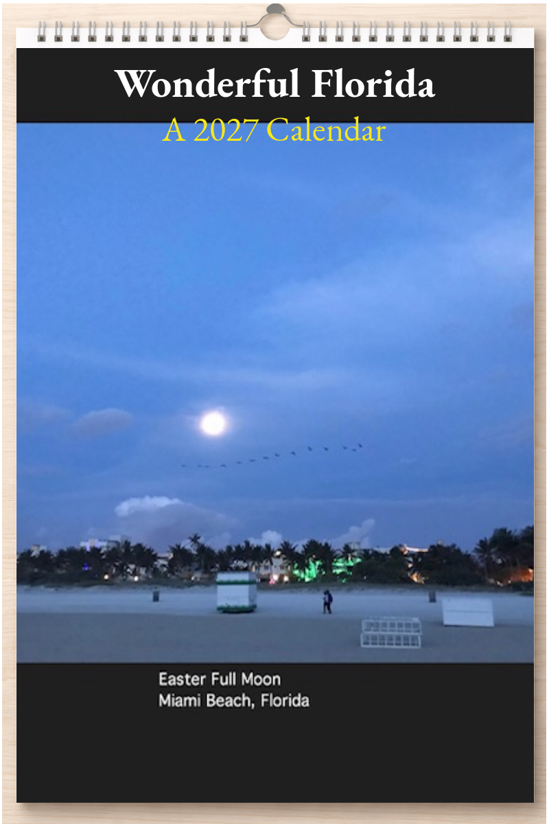 Wonderful Florida: A 2027 Calendar
