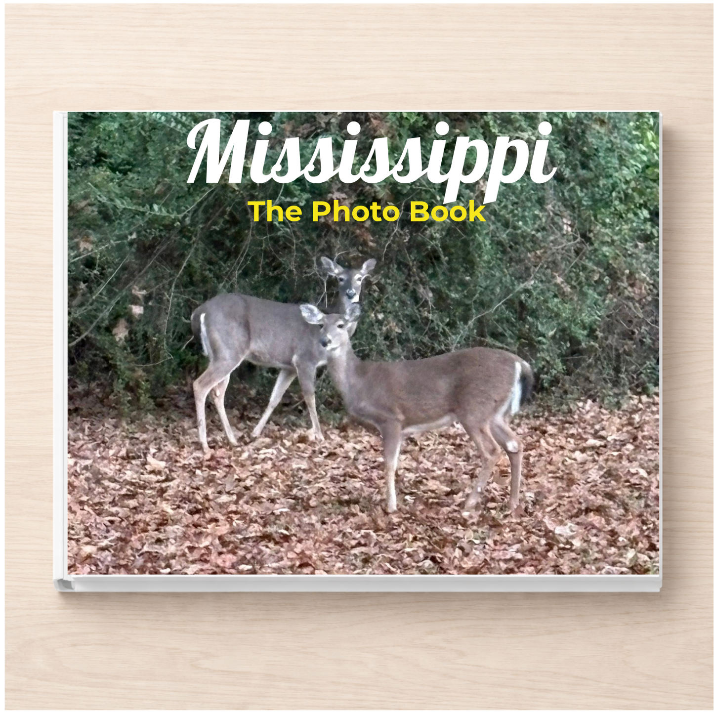 Mississippi: The Photo Book