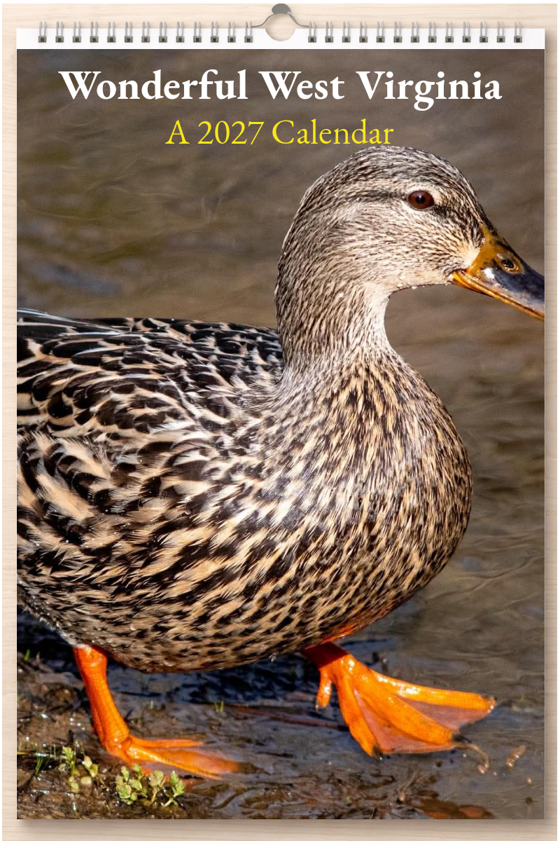 Wonderful West Virginia: A 2027 Calendar