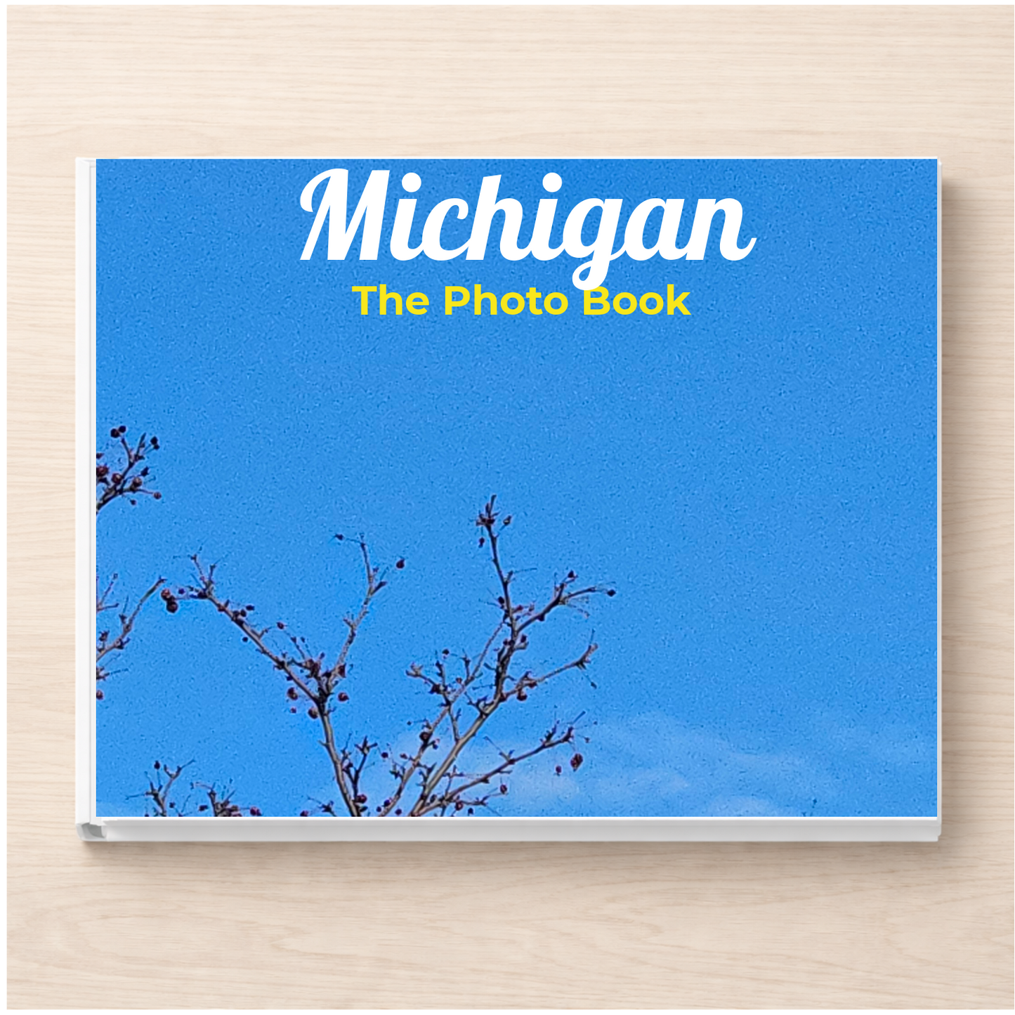 Michigan: The Photo Book
