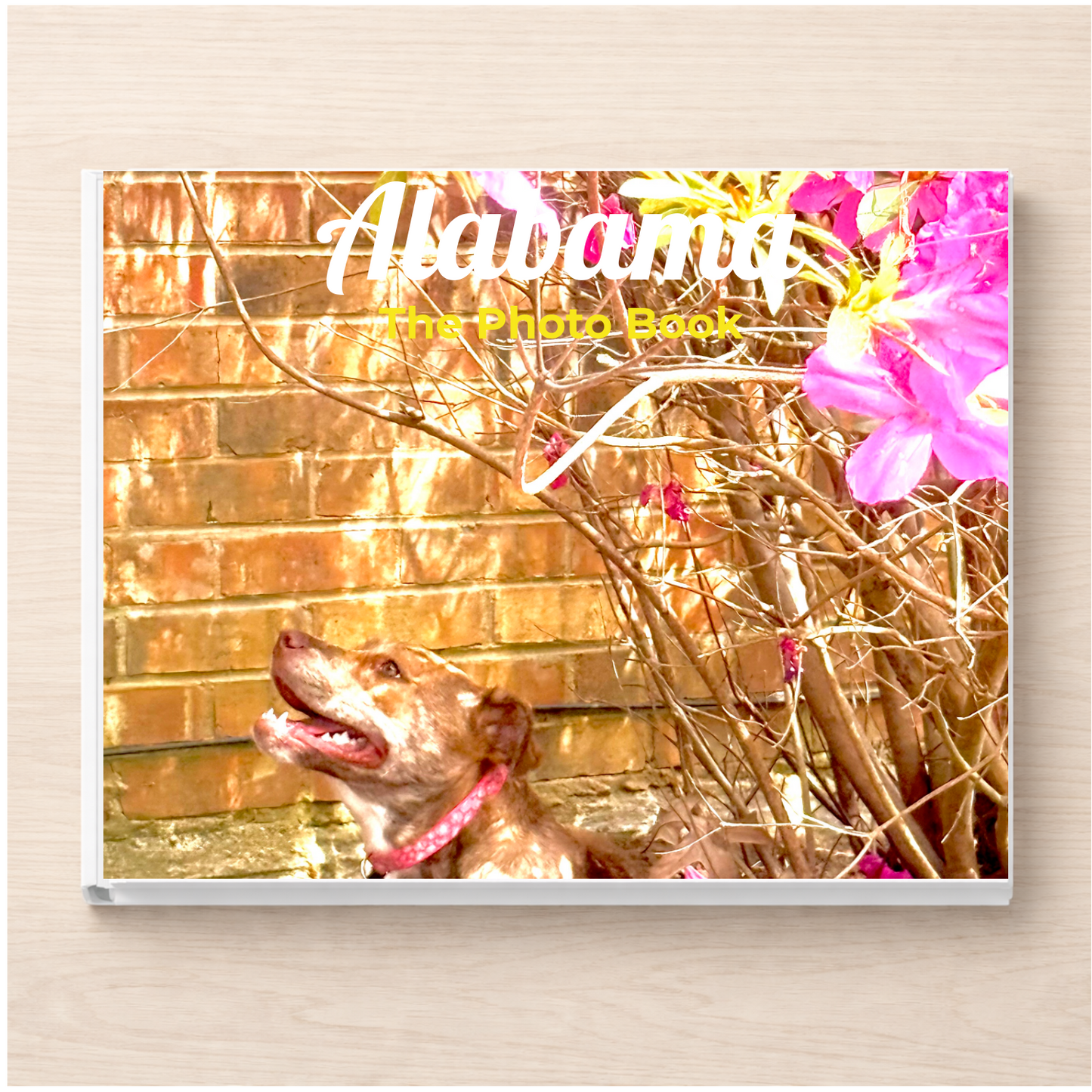 Alabama: The Photo Book