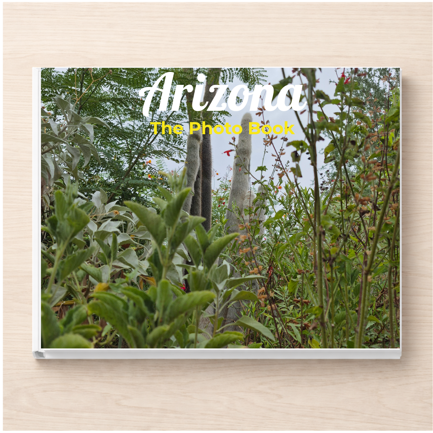 Arizona: The Photo Book