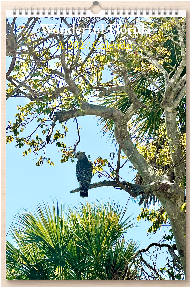 Wonderful Florida: A 2027 Calendar