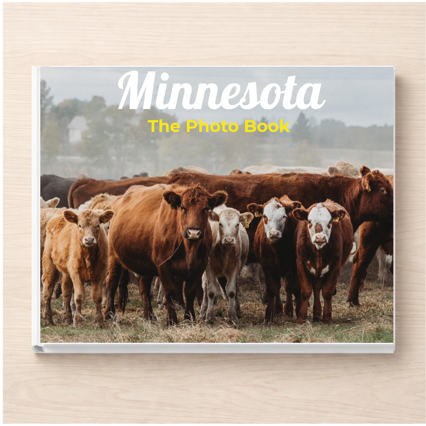 Minnesota: The Photo Book