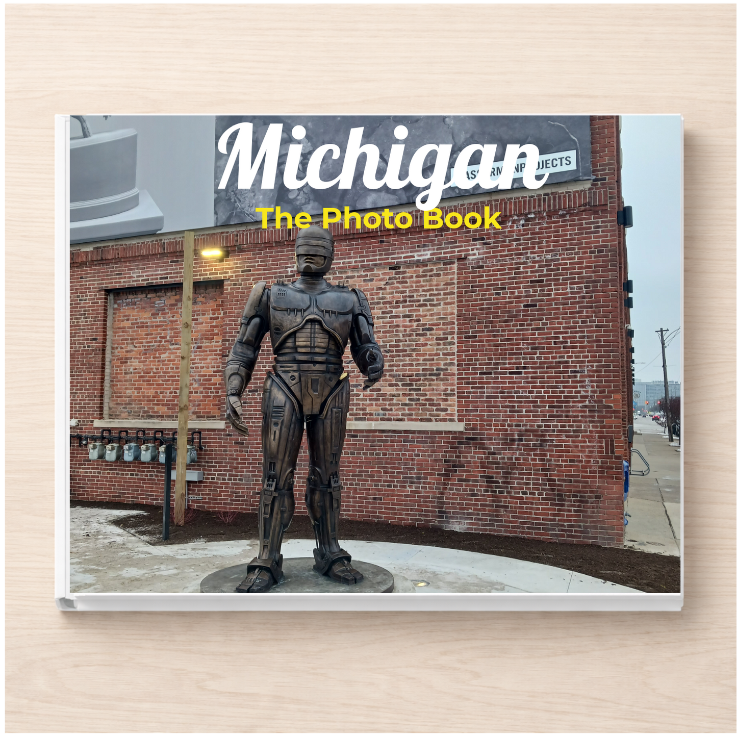 Michigan: The Photo Book