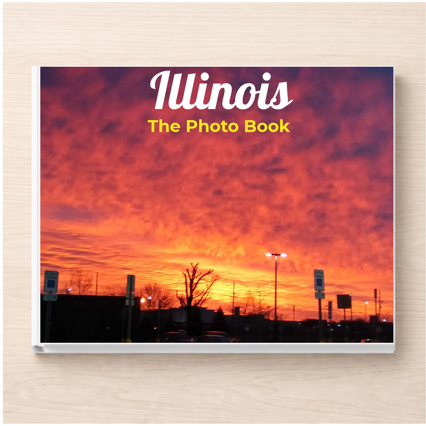 Illinois: The Photo Book