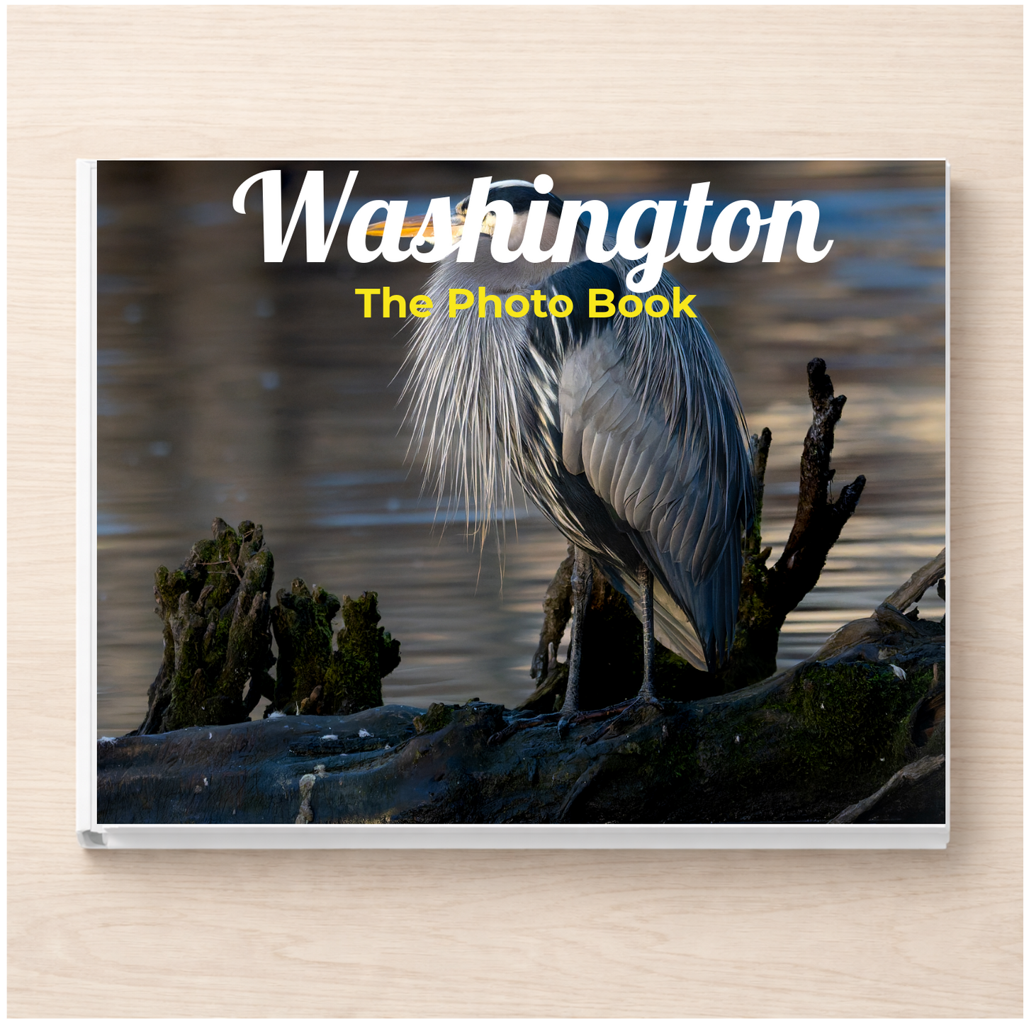 Washington: The Photo Book