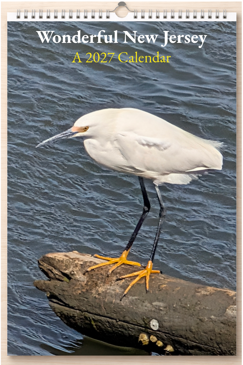 Wonderful New Jersey: A 2027 Calendar