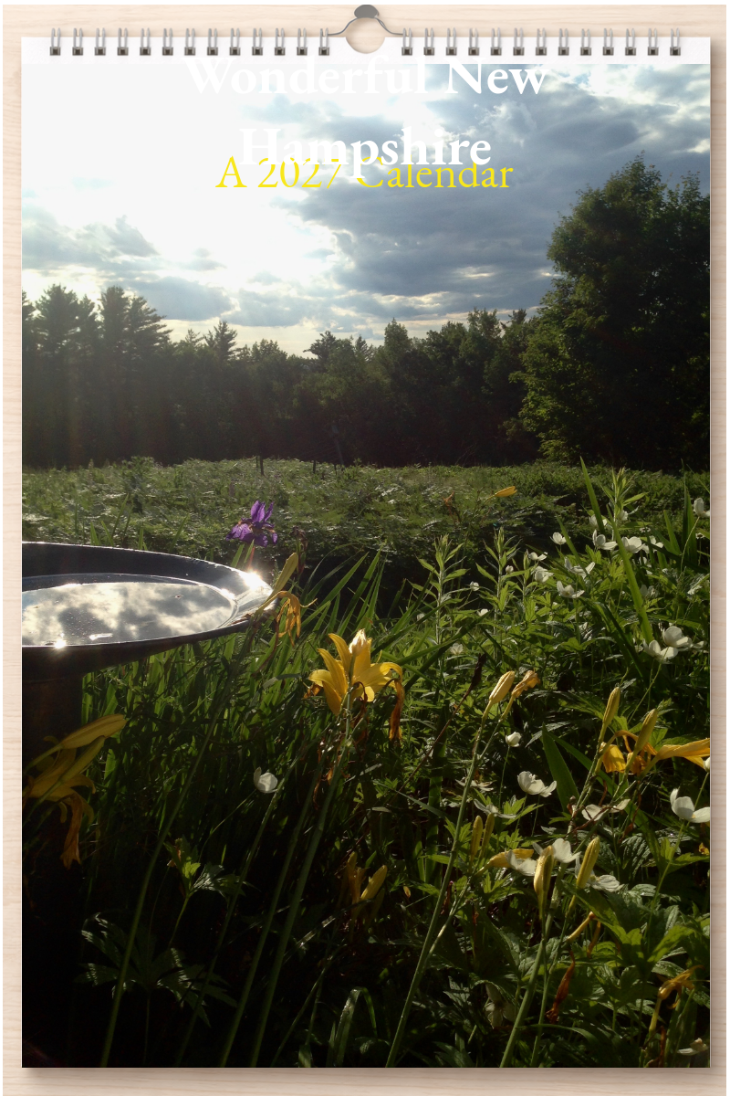 Wonderful New Hampshire: A 2027 Calendar