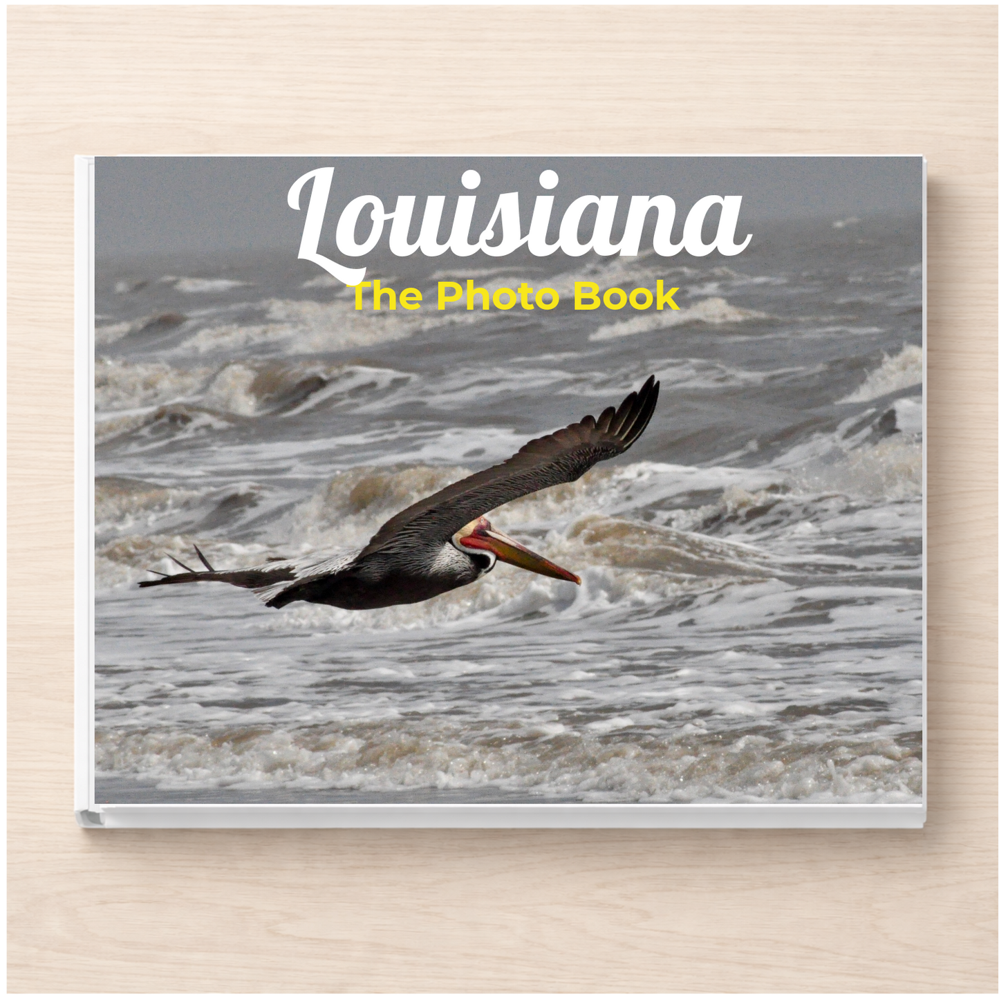 Louisiana: The Photo Book