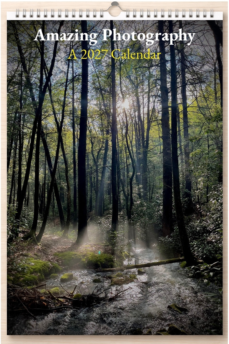 Amazing Photography: A 2027 Calendar