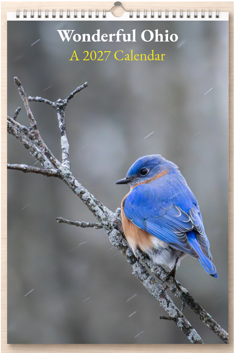 Wonderful Ohio: A 2027 Calendar