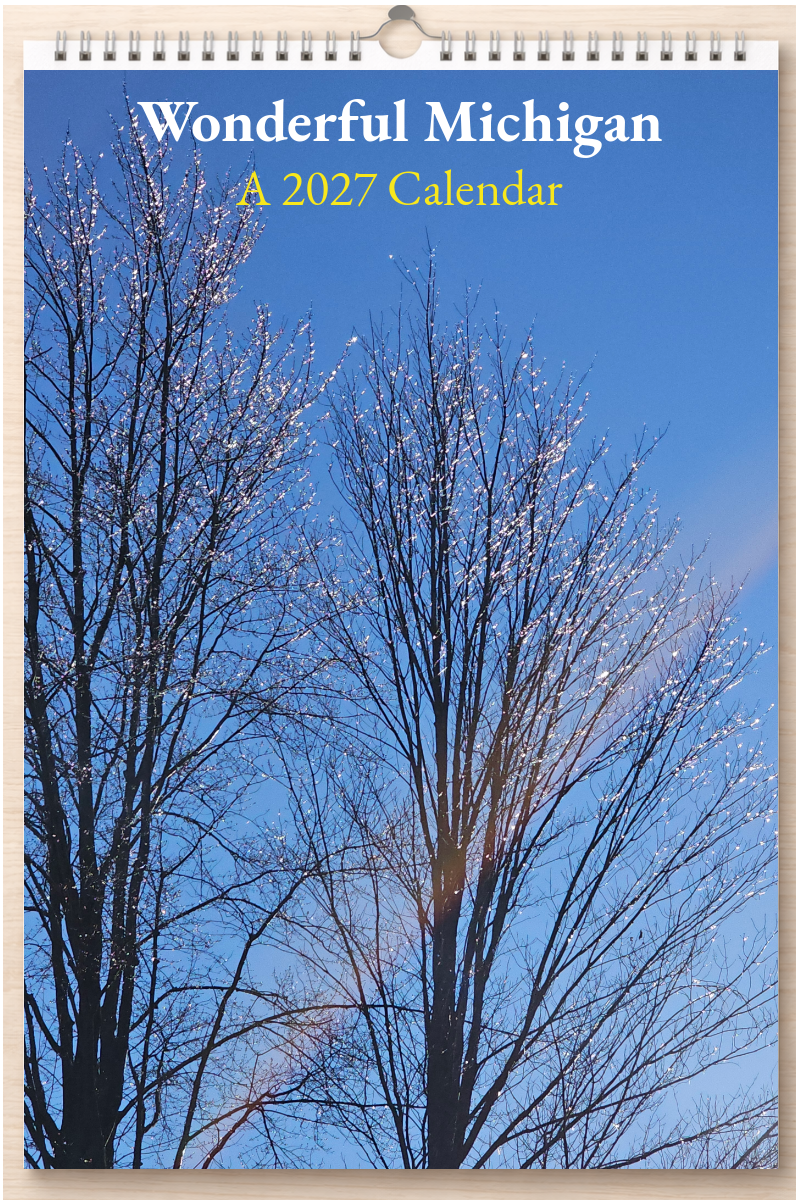 Wonderful Michigan: A 2027 Calendar