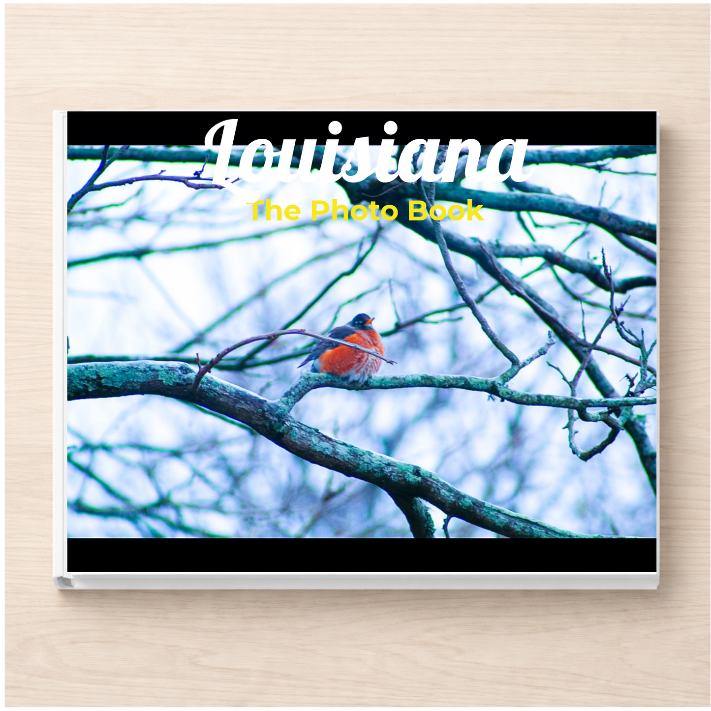 Louisiana: The Photo Book