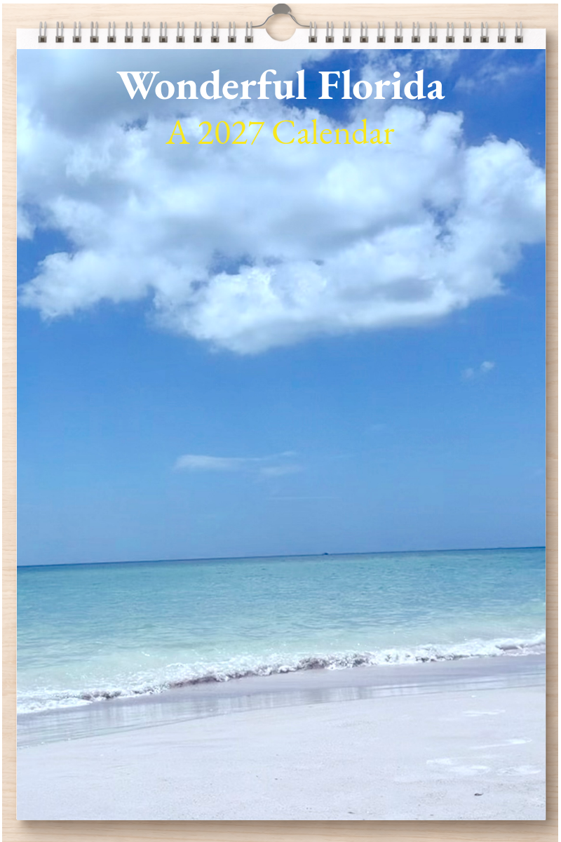 Wonderful Florida: A 2027 Calendar