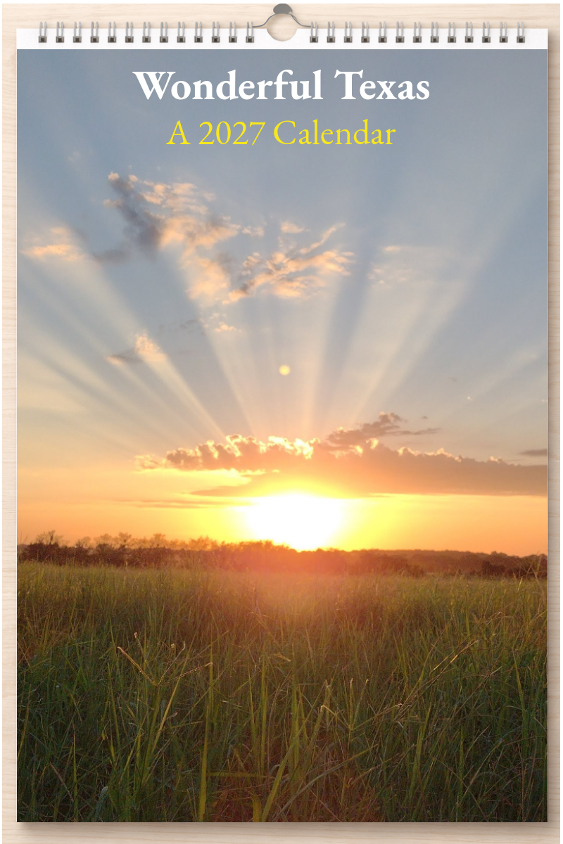 Wonderful Texas: A 2027 Calendar