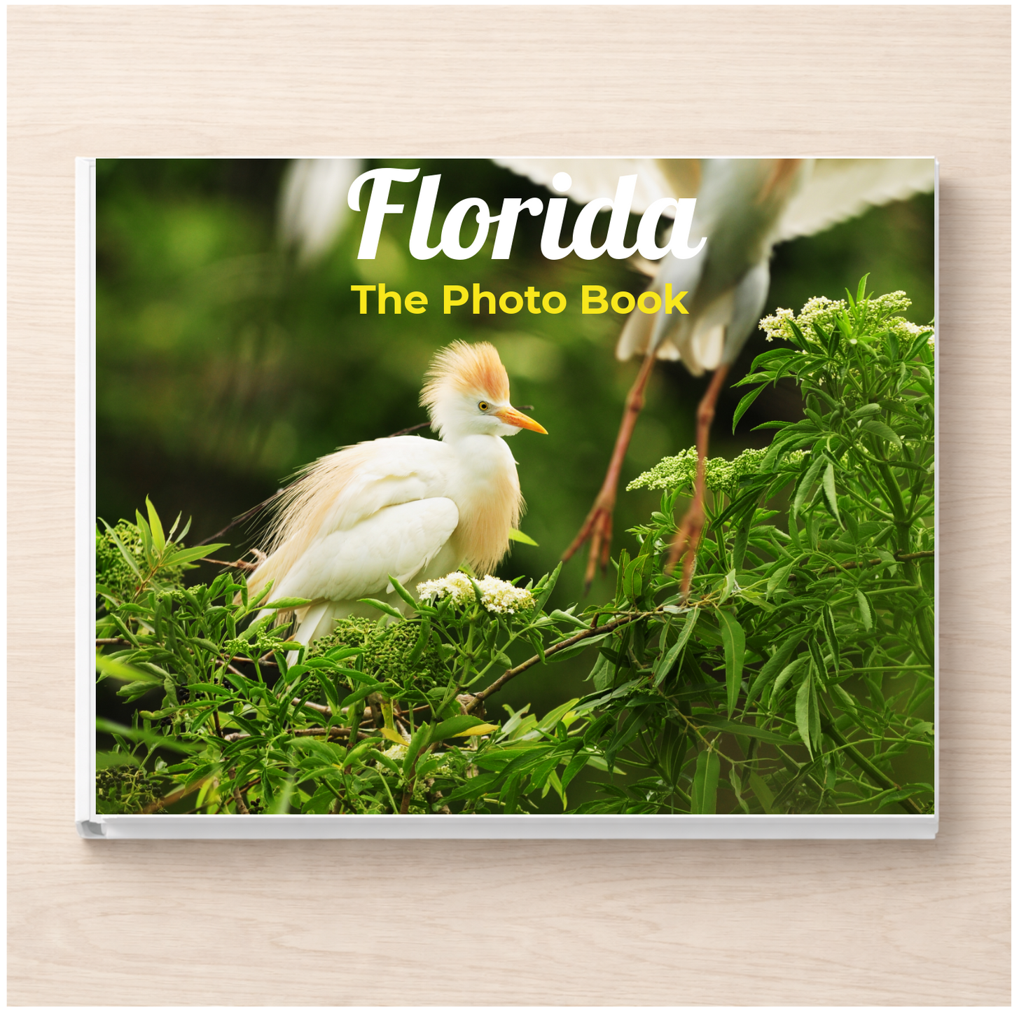Florida: The Photo Book