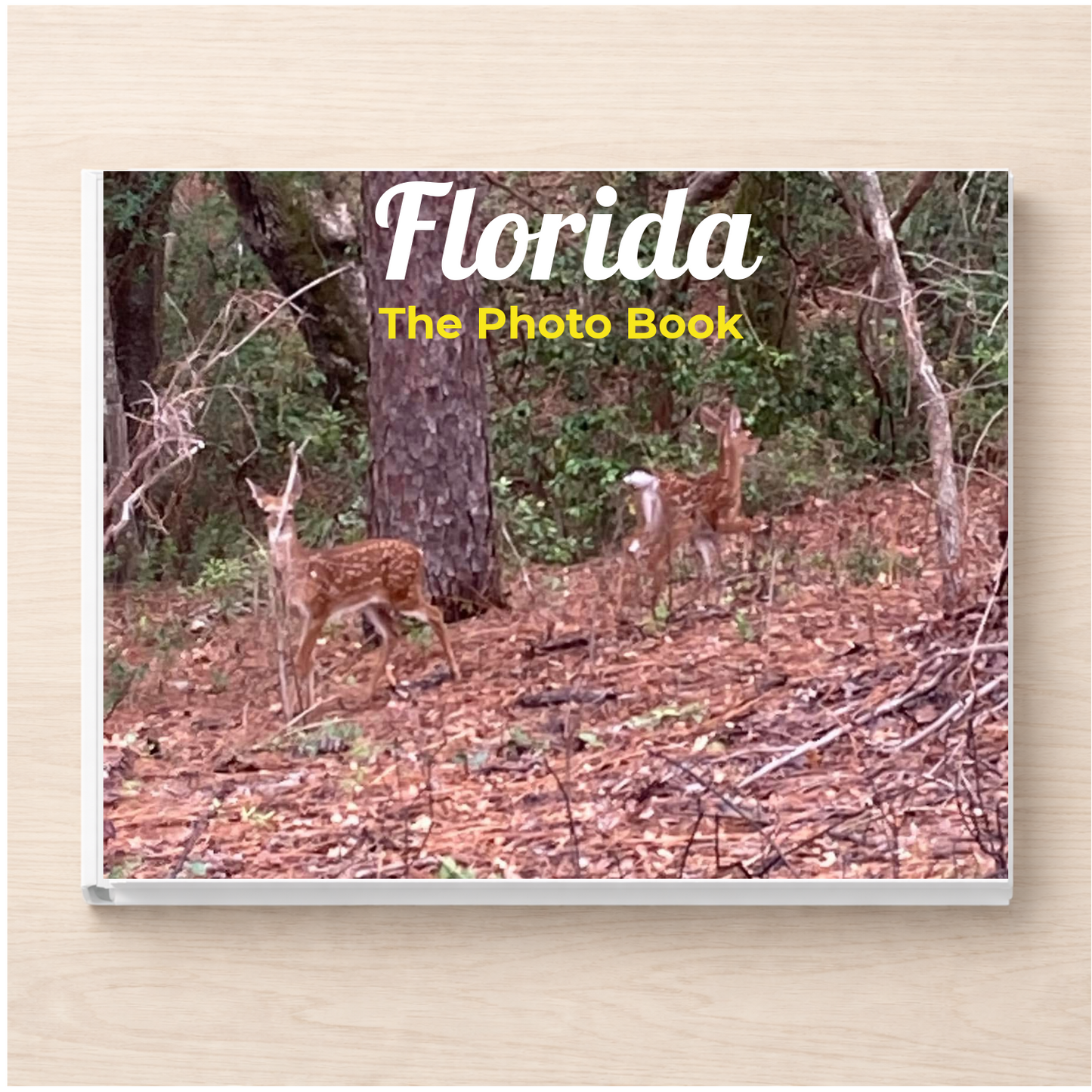 Florida: The Photo Book