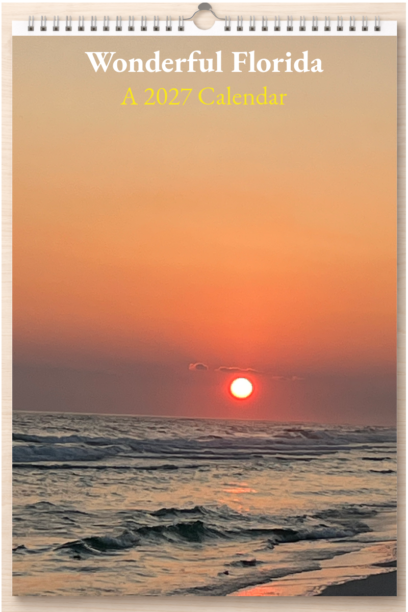 Wonderful Florida: A 2027 Calendar