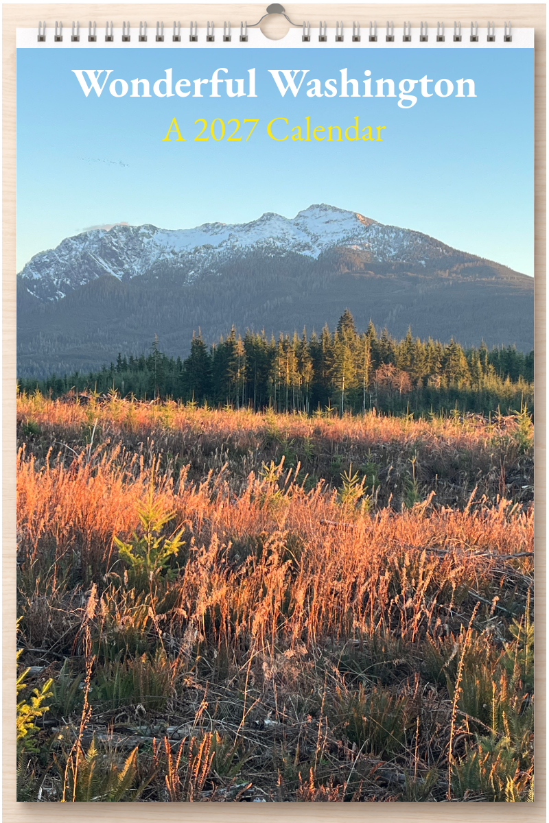 Wonderful Washington: A 2027 Calendar