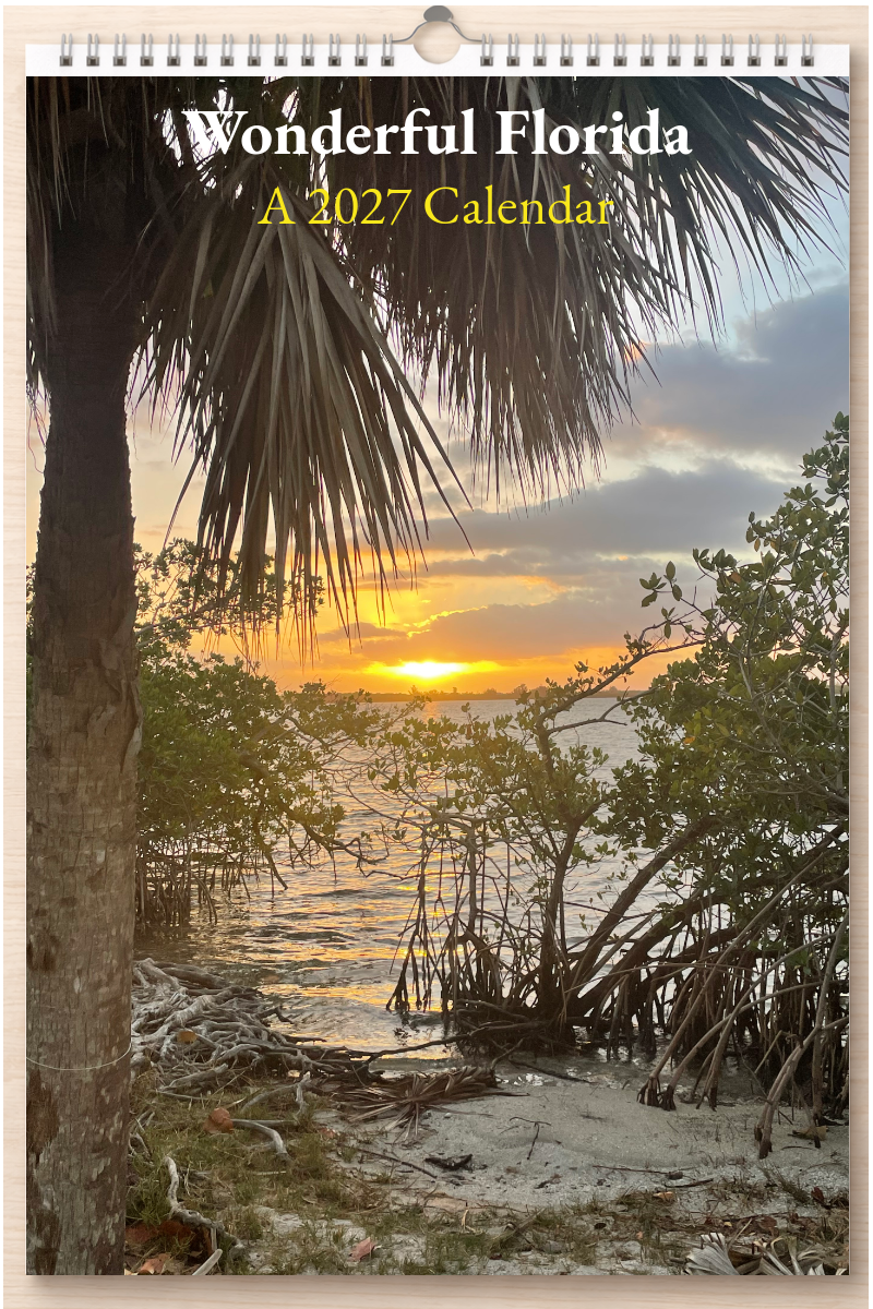 Wonderful Florida: A 2027 Calendar